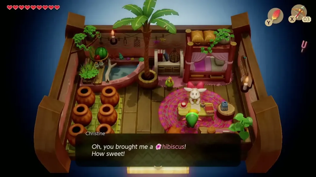 Christine thanking Link for the hibiscus in her house Christine thanking Link for the hibiscus in her house