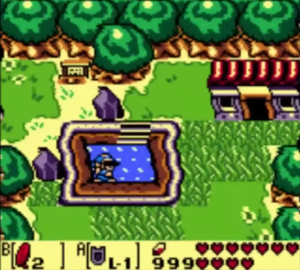 Link standing in the warp pond beside Crazy Tracy house