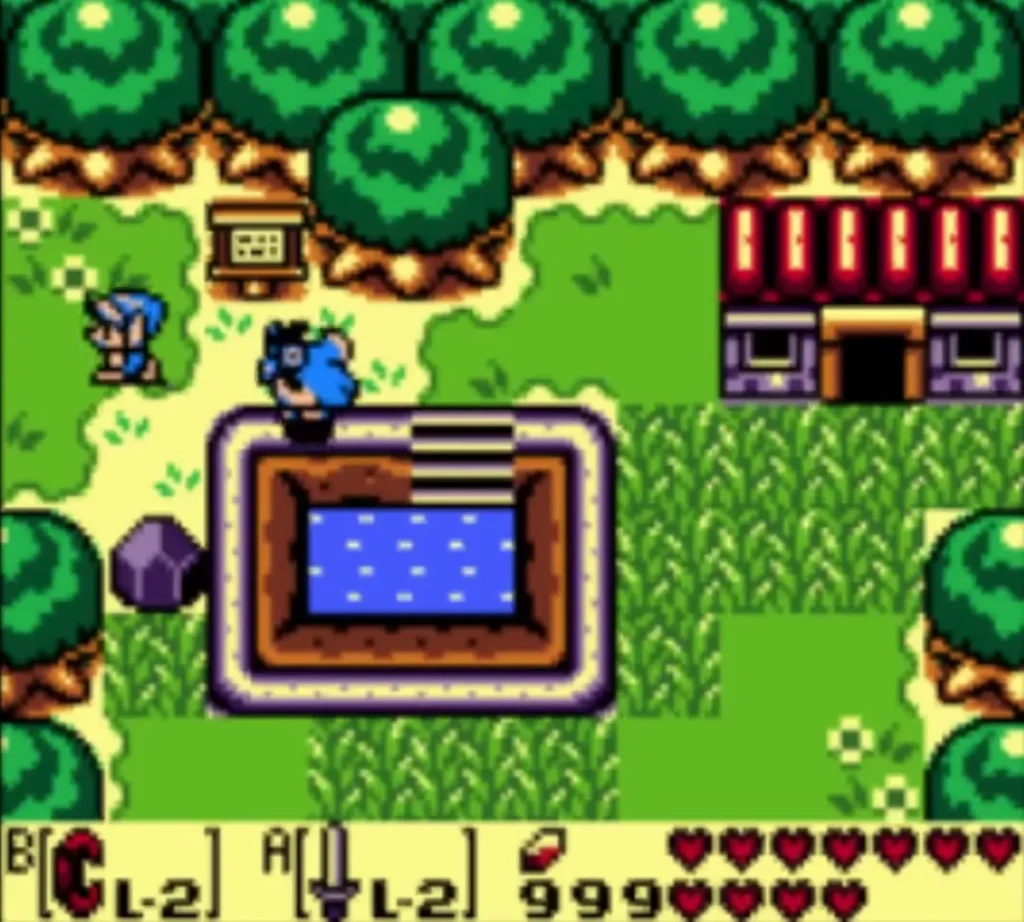 Link at the warp pond beside Crazy Tracy house with the Rooster nearby Link at the warp pond beside Crazy Tracy house with the Rooster nearby