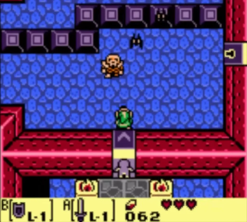 Link enters a room split by a row of purple blocks through a one-way door Link enters a room split by a row of purple blocks through a one-way door
