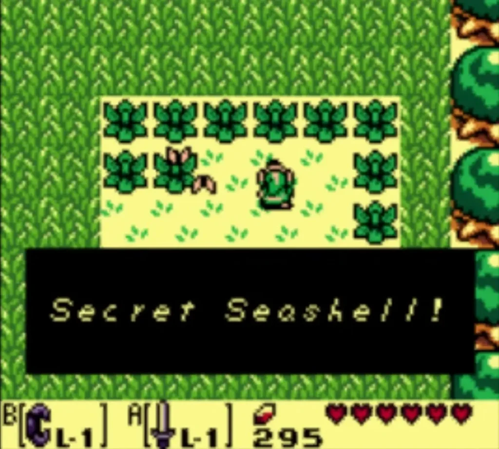 Secret Seashell message box in the crop field Secret Seashell message box in the crop field