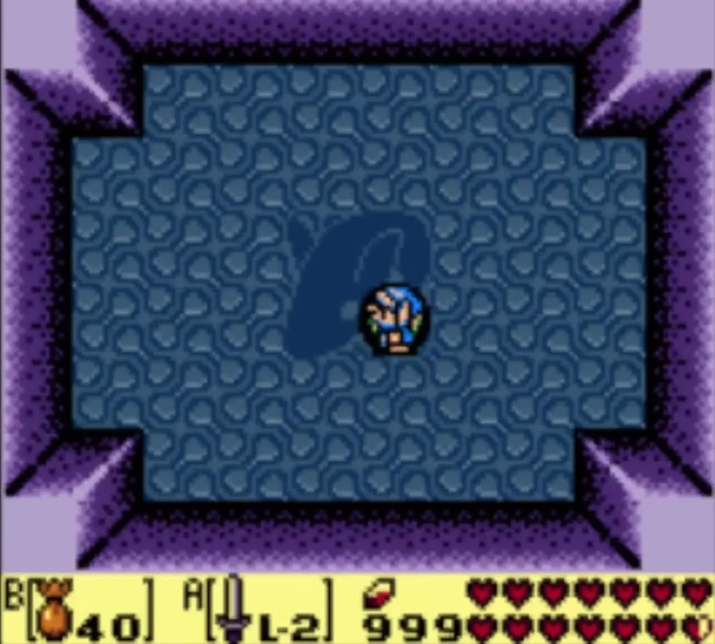 Link standing in the blue arena with the Magic Powder bag equipped on B Link standing in the blue arena with the Magic Powder bag equipped on B