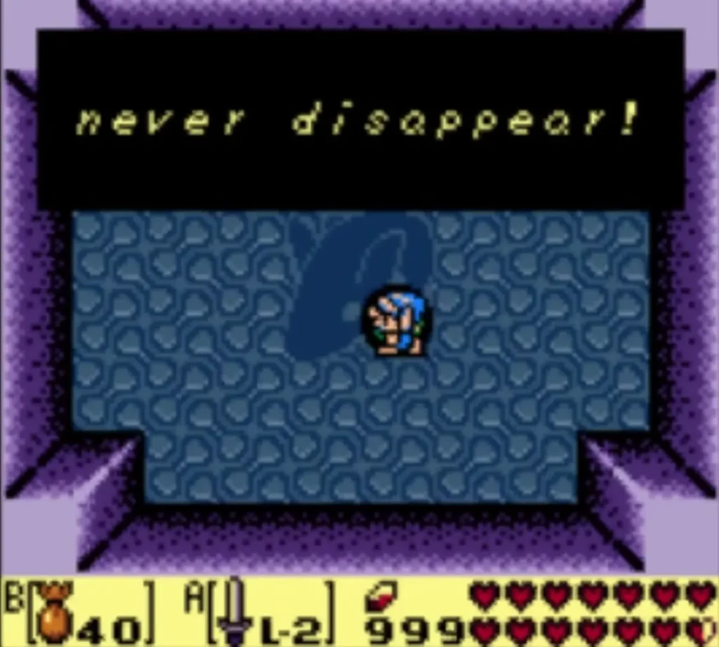 A Nightmare message in the arena reads never disappear, with Link standing in the middle A Nightmare message in the arena reads never disappear, with Link standing in the middle