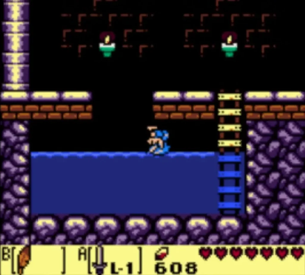 Link swimming in the water of the stairs room beside a ladder Link swimming in the water of the stairs room beside a ladder