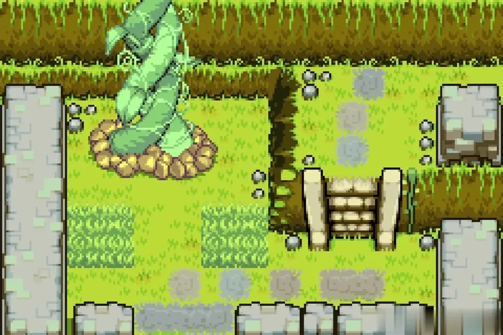 The beanstalk risen in the stone-walled Wind Ruins garden