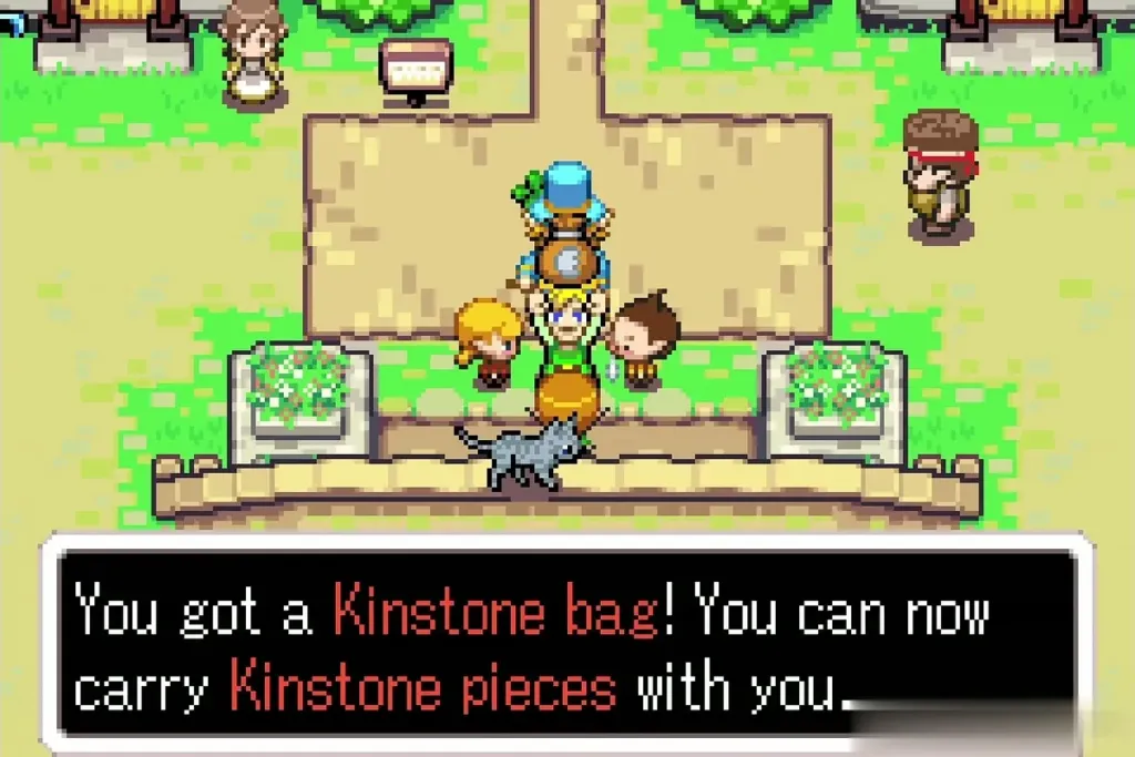 Link holding up the Kinstone bag with the message You got a Kinstone bag Link holding up the Kinstone bag with the message You got a Kinstone bag