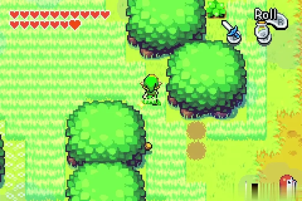 Link at the edge of the tall grass fields in Western Wood