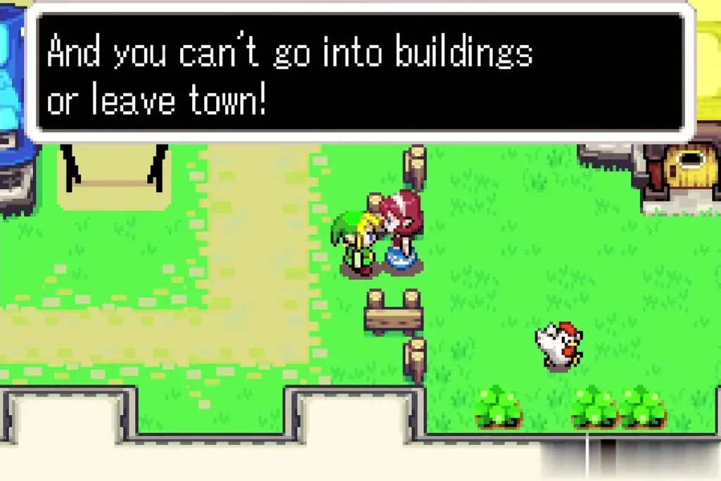 Anju explaining the Cucco rules to Link in Hyrule Town