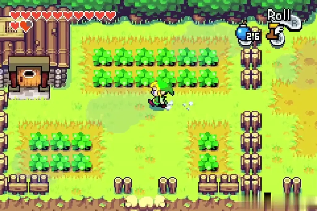 Link walking among the cabbage rows on the farm Link walking among the cabbage rows on the farm