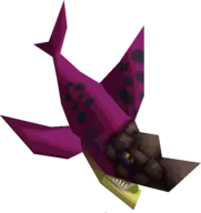 Gyorg