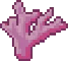 Pink Coral