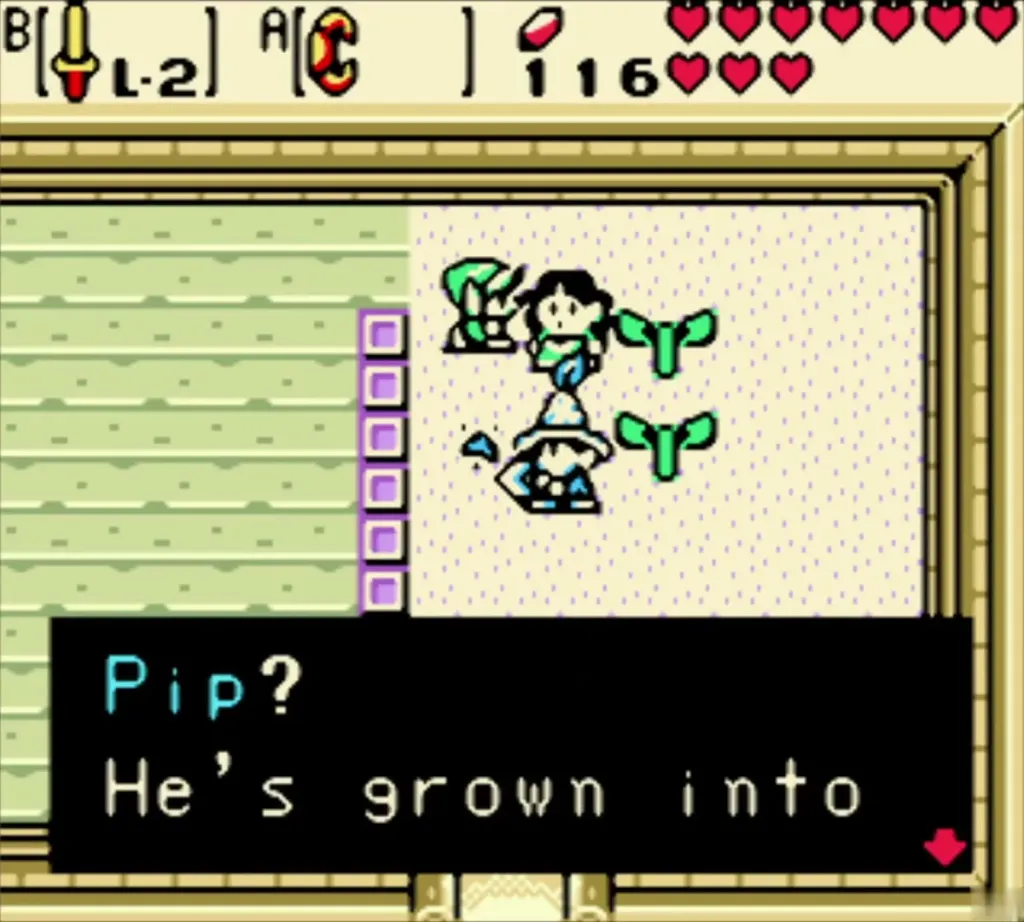 Blossom telling Link that Pip has grown up, beside the indoor seedling bed