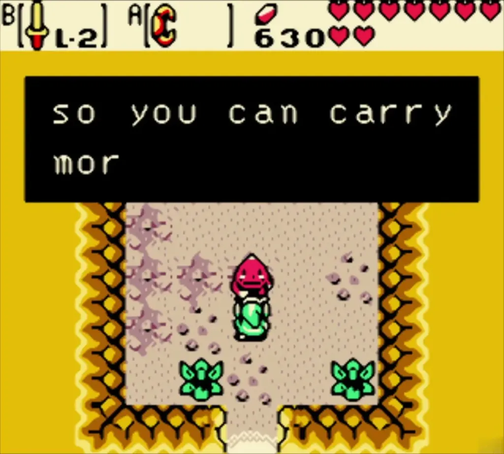 The lone hermit offering to let Link carry more rings The lone hermit offering to let Link carry more rings