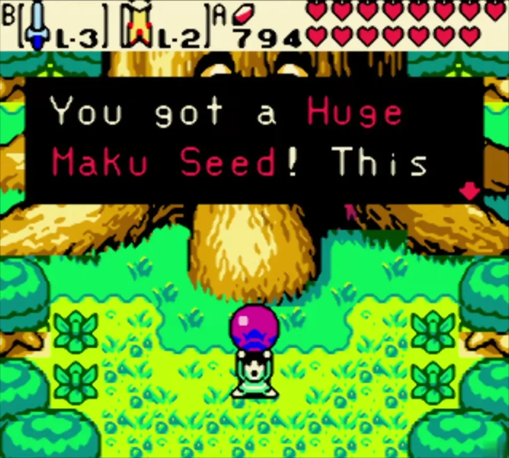 Link holds up the Huge Maku Seed as the message You got a Huge Maku Seed appears