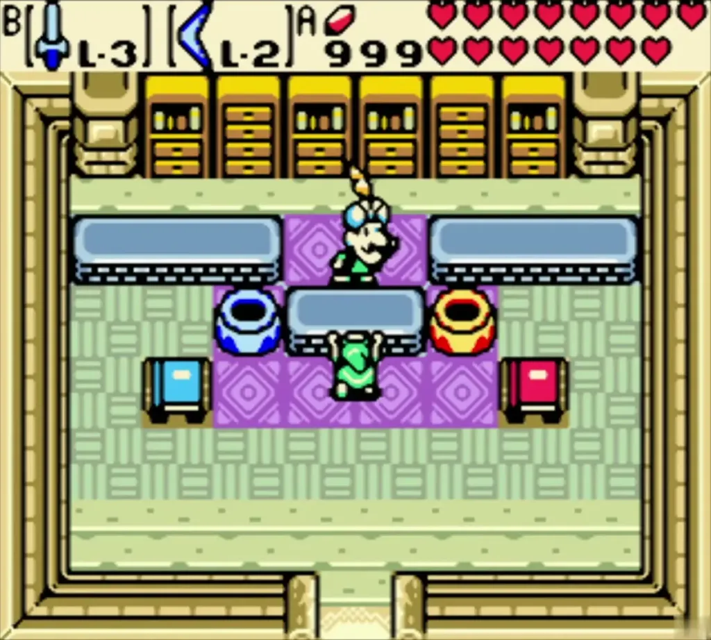 Link at the counter of Vasu's jewelry shop in Horon Village Link at the counter of Vasu's jewelry shop in Horon Village