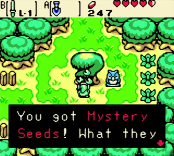 Link holding the Mystery Seeds with the item message complete Link holding the Mystery Seeds with the item message complete