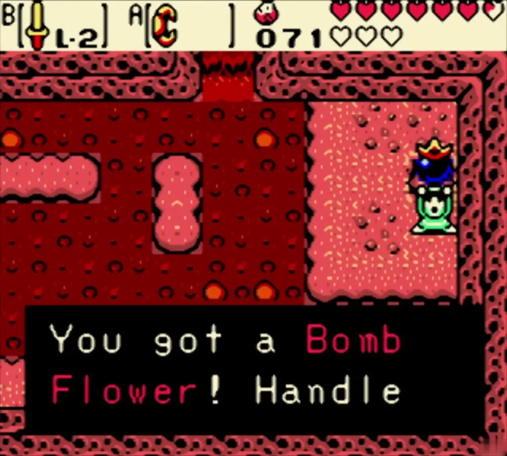 The Bomb Flower item message in the lava room The Bomb Flower item message in the lava room