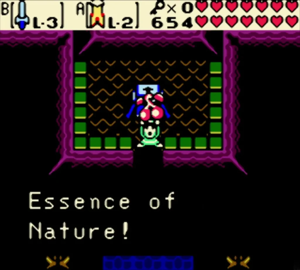 The Essence of Nature message fully typed while Link stands in the essence chamber The Essence of Nature message fully typed while Link stands in the essence chamber