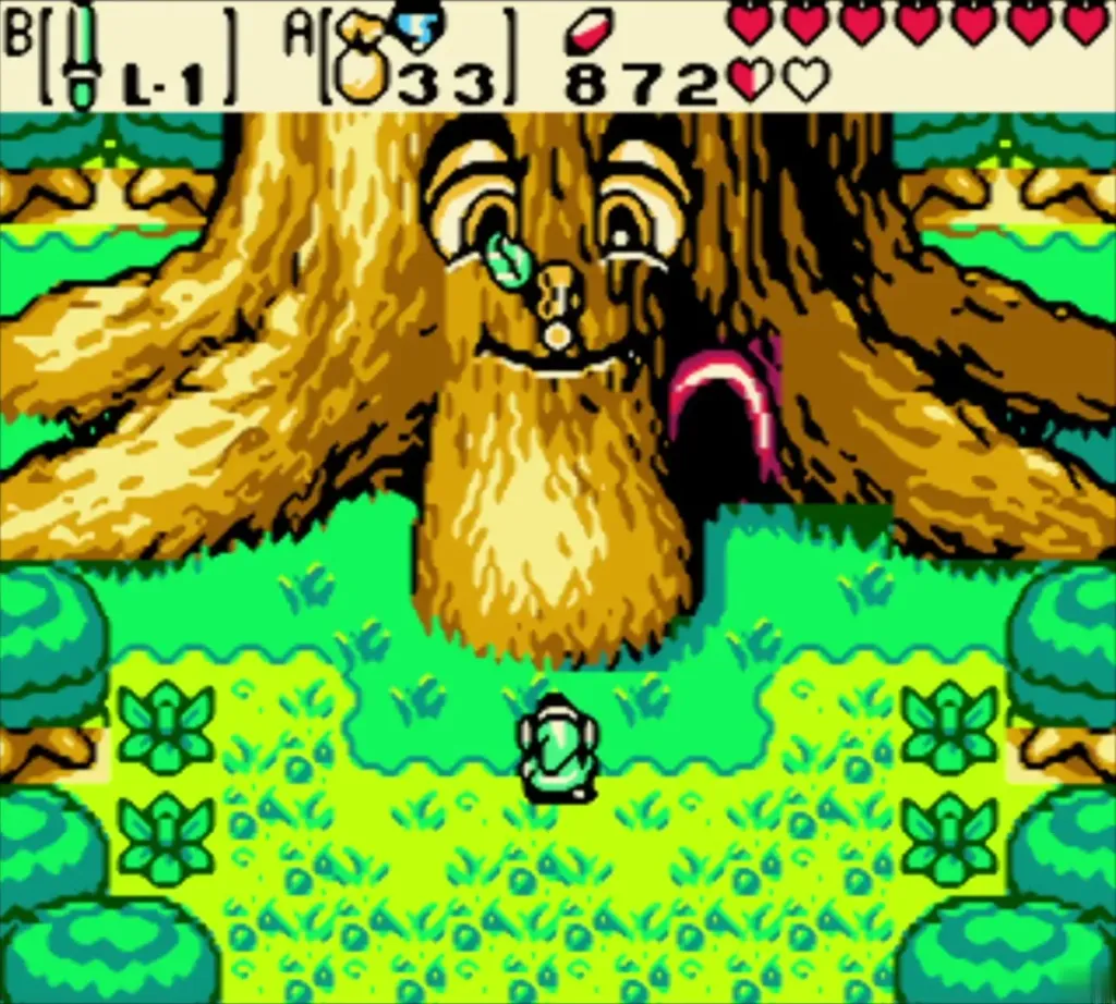 Link in the grove before the Maku Tree and the door in its trunk Link in the grove before the Maku Tree and the door in its trunk