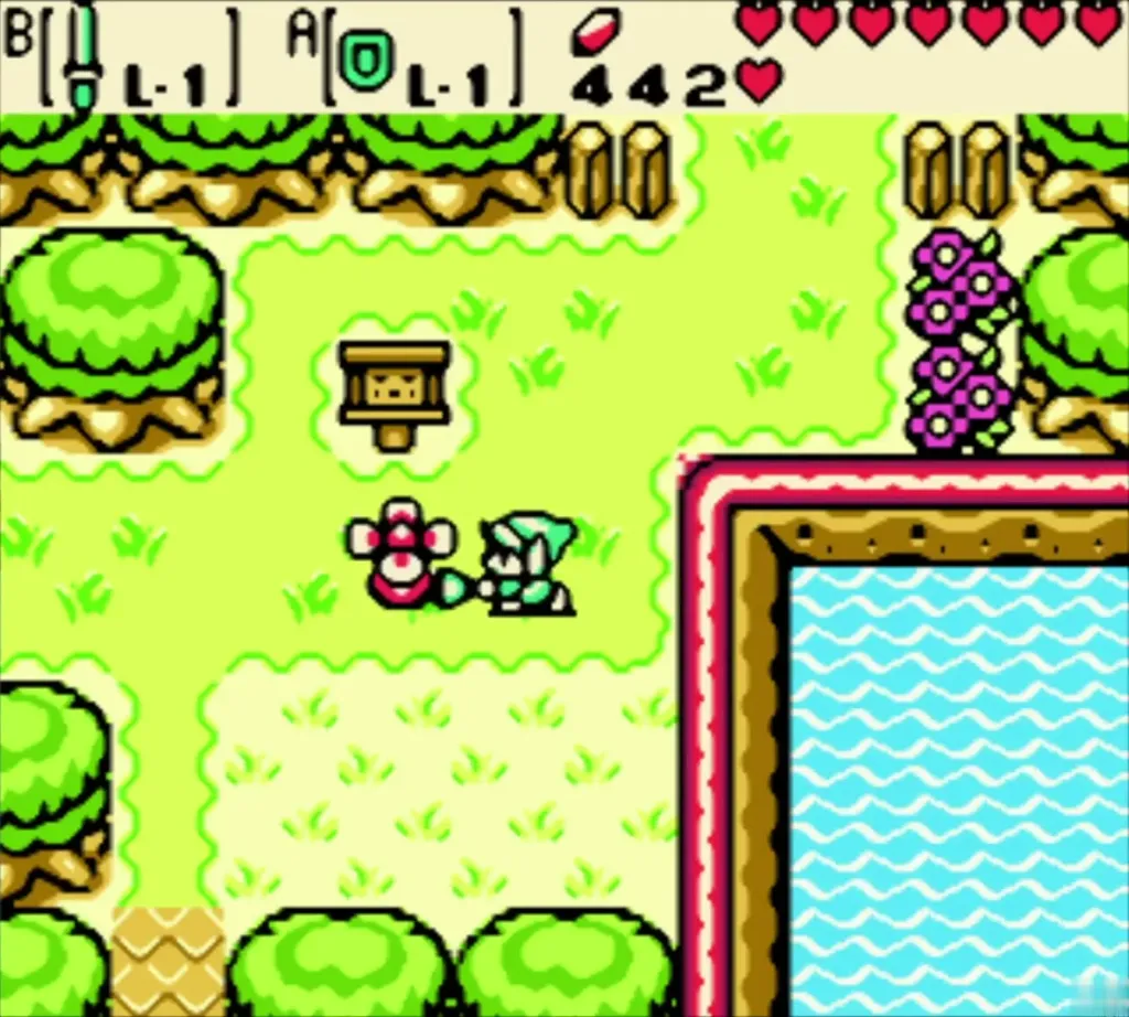 Link next to Maple with the Rupee count risen to 442 Link next to Maple with the Rupee count risen to 442