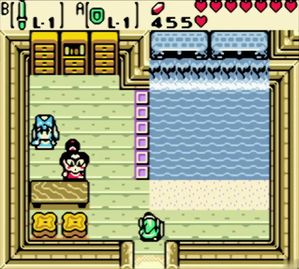 Link entering the red-roofed house where the woman stands at her counter Link entering the red-roofed house where the woman stands at her counter