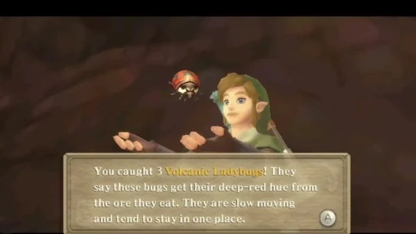 Link holds up a red Volcanic Ladybug in Eldin Volcano, with the message about catching three of them fully shown. Link holds up a red Volcanic Ladybug in Eldin Volcano, with the message about catching three of them fully shown.