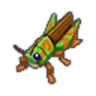 Faron Grasshopper