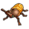 Woodland Rhino Beetle