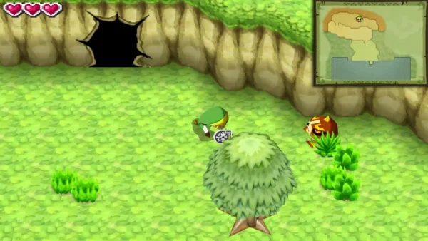 A striped orange Spinut on a grassy field beside a cave wall, with Link nearby A striped orange Spinut on a grassy field beside a cave wall, with Link nearby