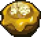 Bee Larvae