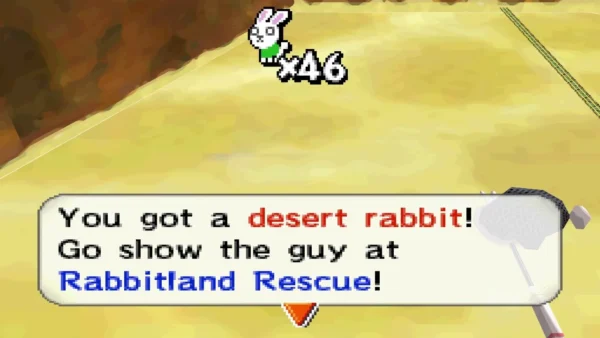 You got a desert rabbit! message on desert sand beside a rock cliff You got a desert rabbit! message on desert sand beside a rock cliff
