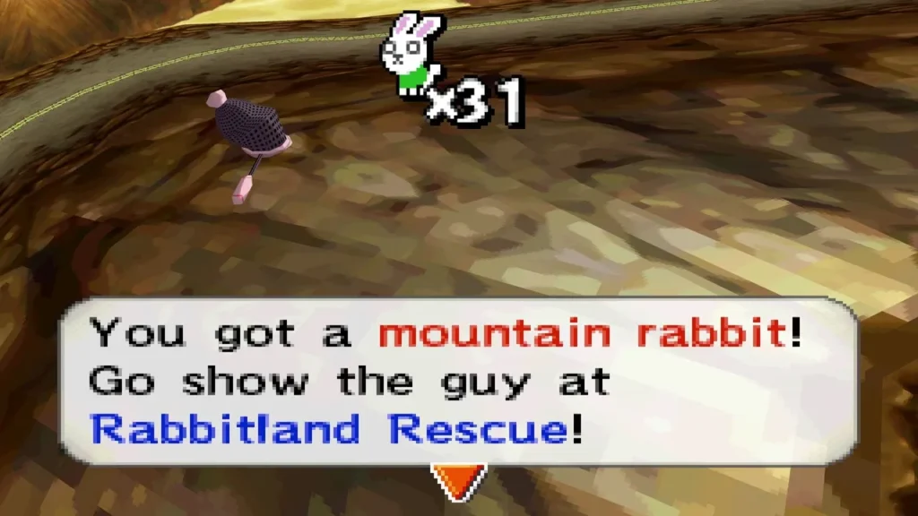 Net over brown canyon stone with the box: You got a mountain rabbit! Net over brown canyon stone with the box: You got a mountain rabbit!