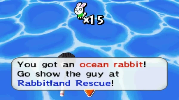 A box reads You got an ocean rabbit! over open sea water A box reads You got an ocean rabbit! over open sea water