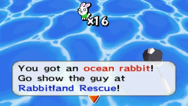 A box reads You got an ocean rabbit! over open sea water A box reads You got an ocean rabbit! over open sea water