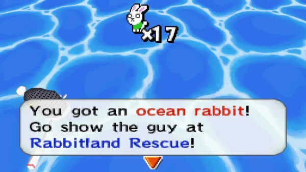 A box reads You got an ocean rabbit! over open sea water A box reads You got an ocean rabbit! over open sea water