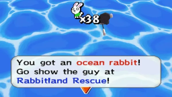 A box reads You got an ocean rabbit! over open sea water A box reads You got an ocean rabbit! over open sea water