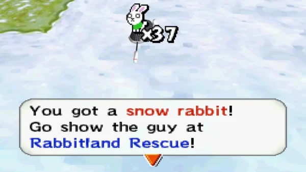 Message box announcing a snow rabbit caught on snow beside a grassy patch Message box announcing a snow rabbit caught on snow beside a grassy patch