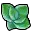 Supple Leaf