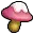 Sweet Shroom