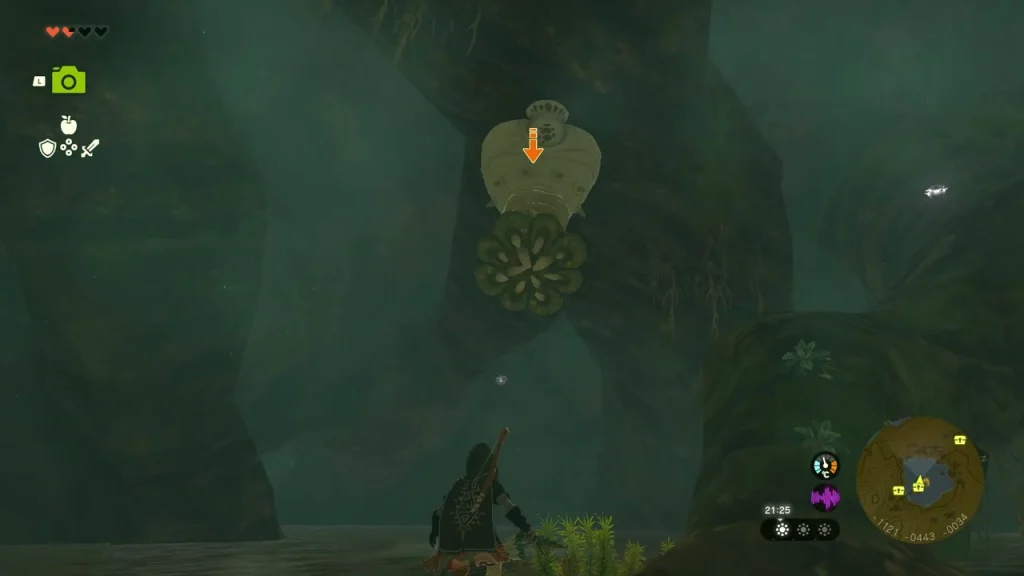 Like Like hanging from a root in the cave ceiling, marked with an orange arrow Like Like hanging from a root in the cave ceiling, marked with an orange arrow