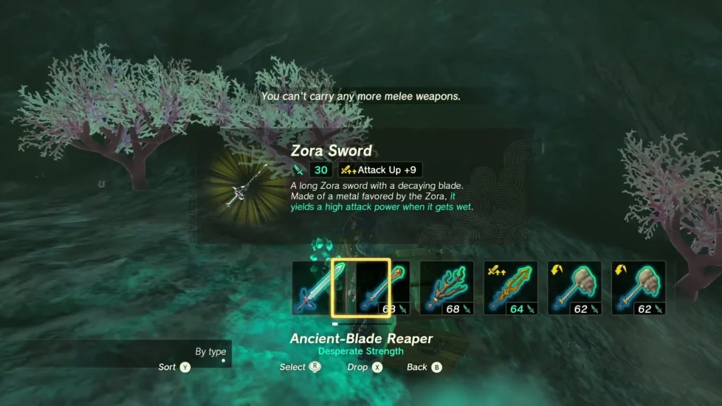 Zora Sword item box in a coral-covered room Zora Sword item box in a coral-covered room