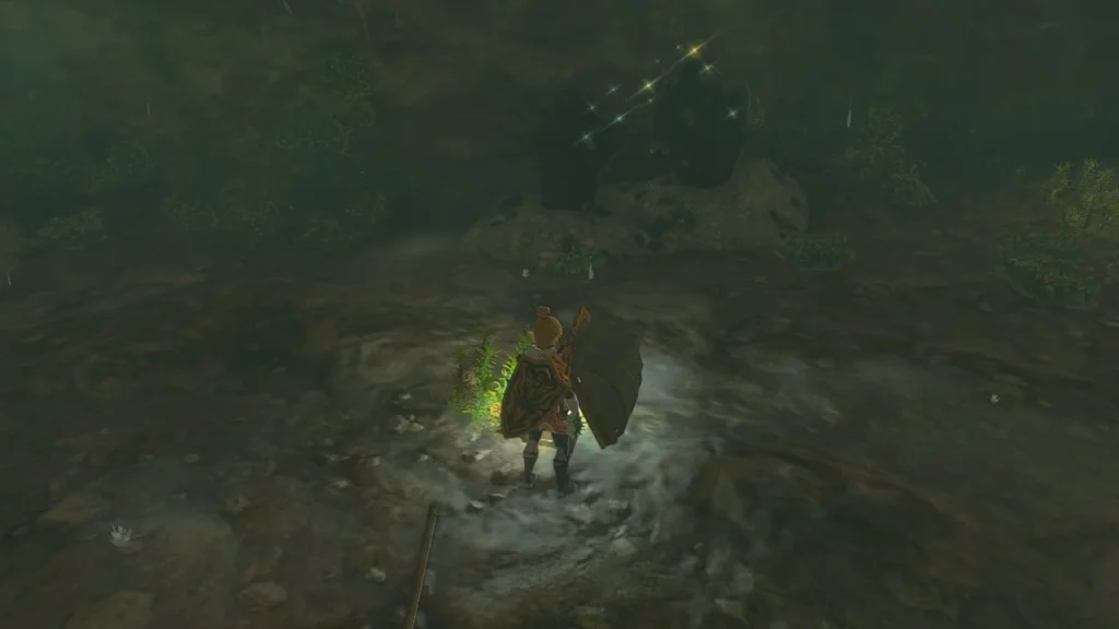 Muddy bank in the dark cave where the chest sits Muddy bank in the dark cave where the chest sits