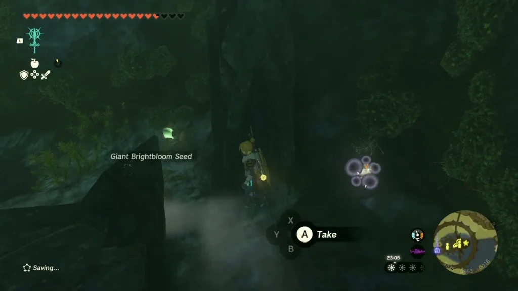 Cave floor beside the opened chest with a Giant Brightbloom Seed to collect Cave floor beside the opened chest with a Giant Brightbloom Seed to collect