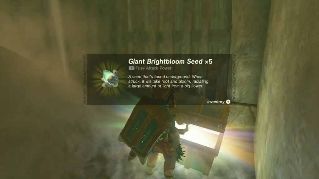 Chest with a Giant Brightbloom Seed x5 item box