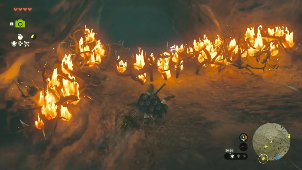 Wall of thorns burning across the cave passage Wall of thorns burning across the cave passage
