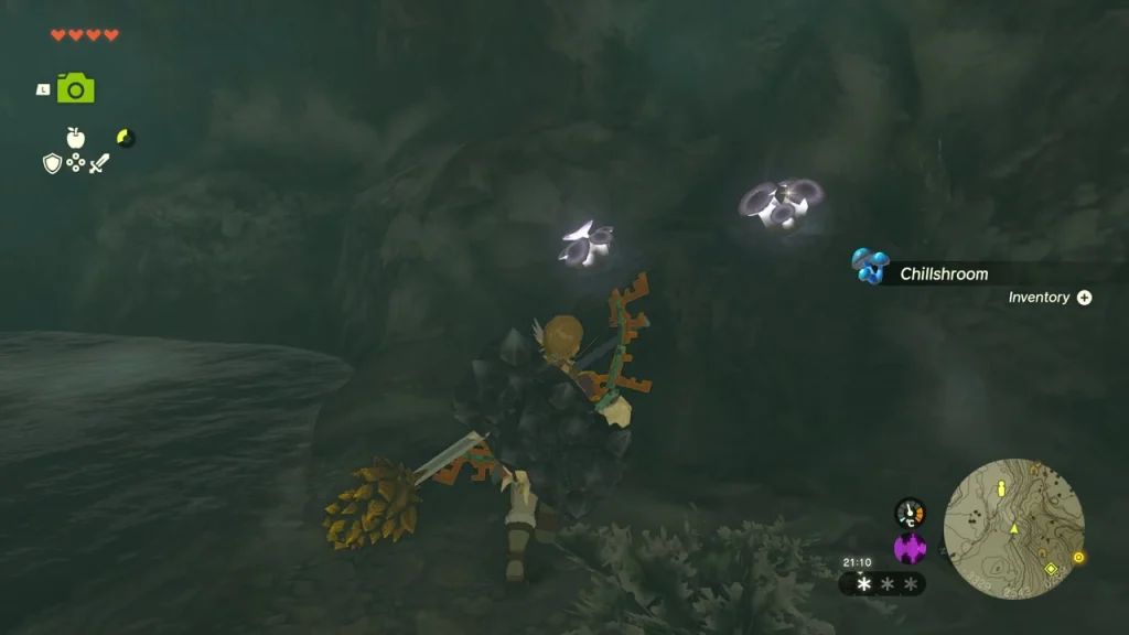 Chillshroom growing beside the dark water in the lower cave Chillshroom growing beside the dark water in the lower cave