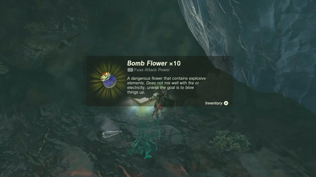 Bomb Flower x10 item box in the dark cave Bomb Flower x10 item box in the dark cave