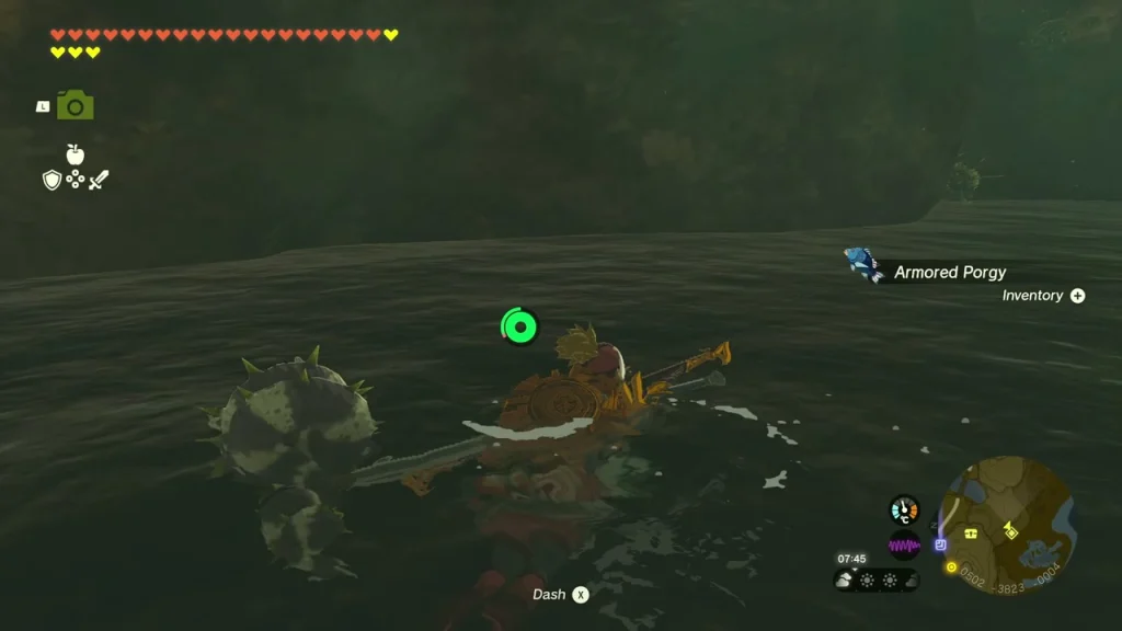 Shallow pool inside the cavern where Armored Porgy swim Shallow pool inside the cavern where Armored Porgy swim