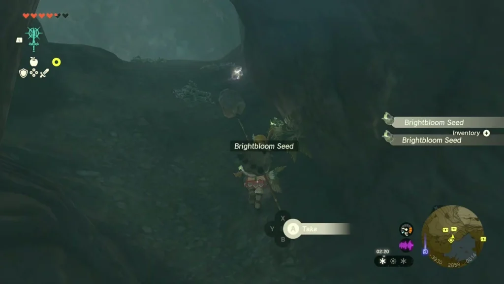 Brightbloom Seed plant at the dark mouth of the cave Brightbloom Seed plant at the dark mouth of the cave