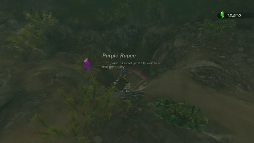 Purple Rupee shown after opening the chest in the pit Purple Rupee shown after opening the chest in the pit